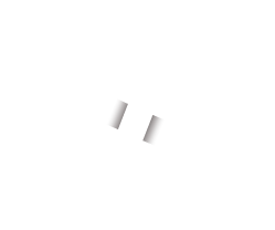 PETRONAS SYNTIUM